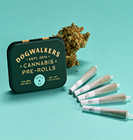 Marijuana Pre-Rolls